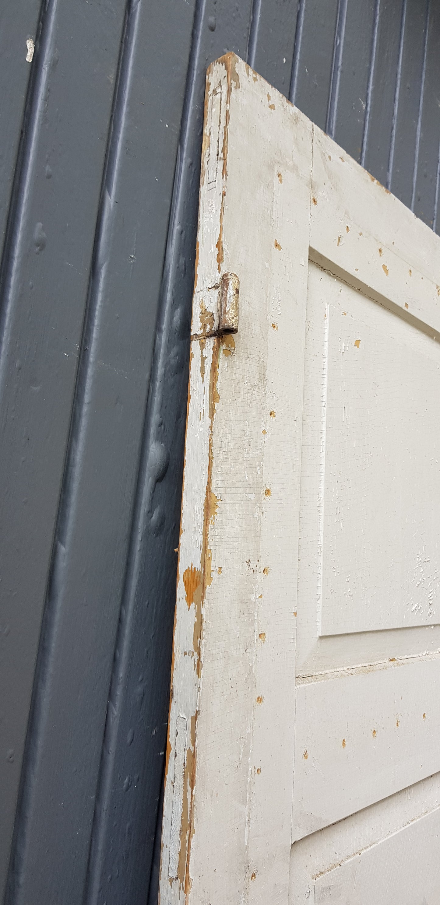 ARTIKELNUMMER 258 Fin äldre spegeldörr utan karm, öppnas utåt, vänsterhängd 