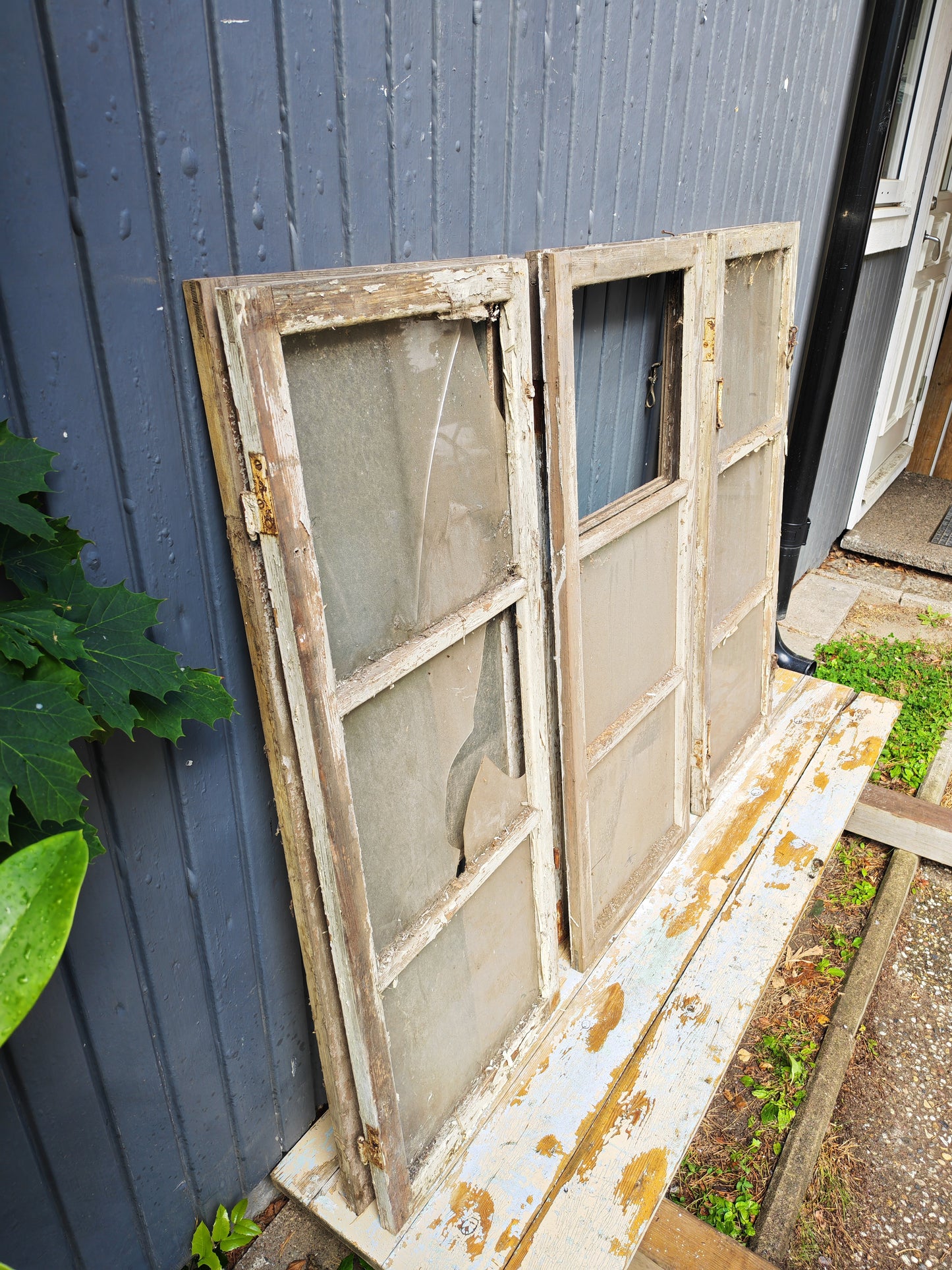 ART 04K 6ST B47 H122 D2,5 PRIS 500 KR PER ST 1 HEL 5 TRASIGA GLAS