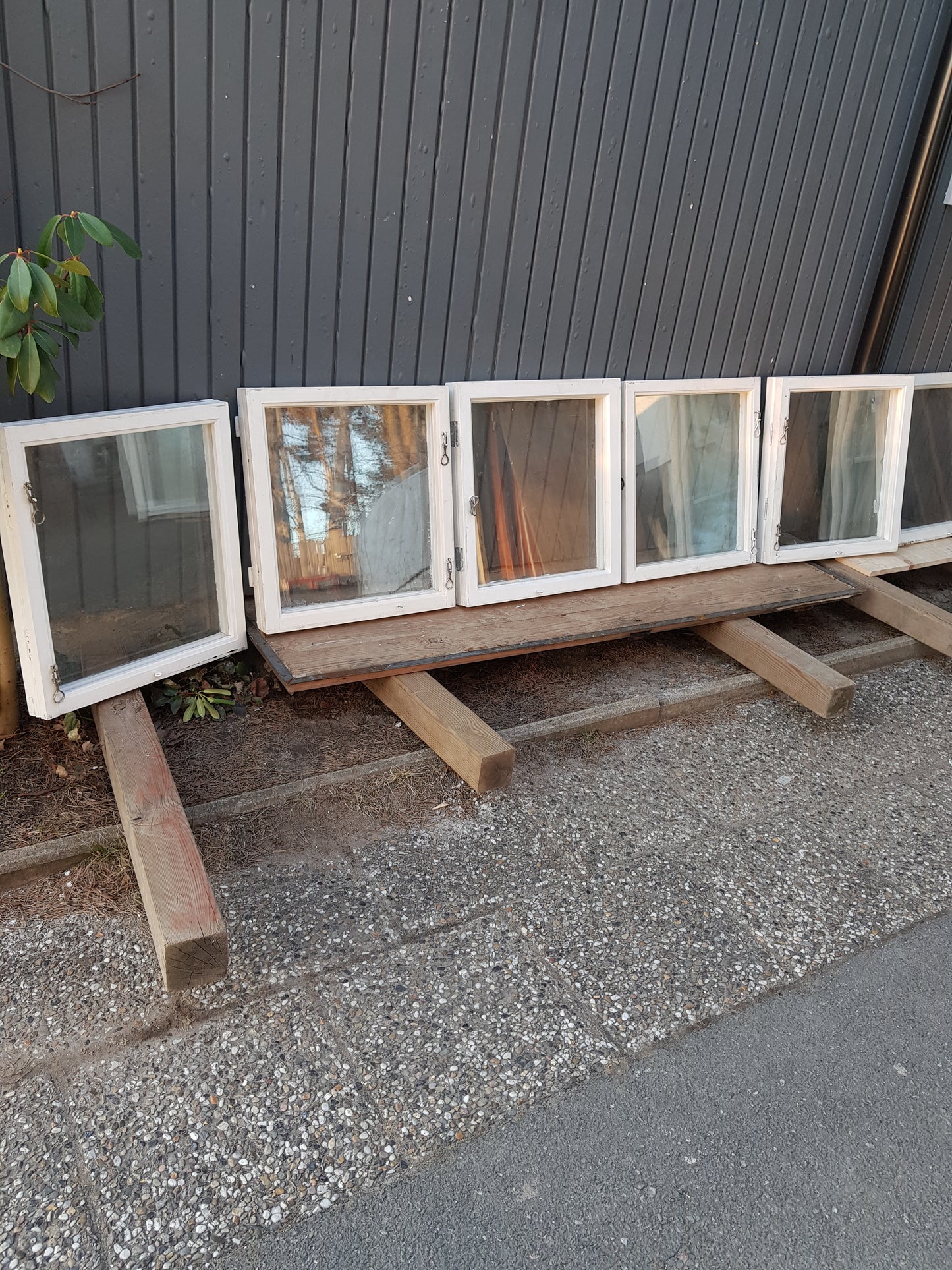 Art 851 6st gamla fönster MÅTT B53 H58 1500 kr st utan karm