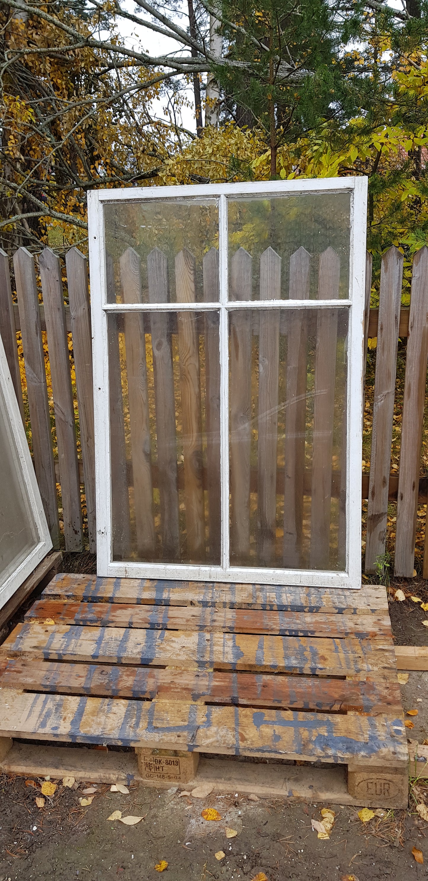 ARTIKELNUMMER 430   3 st Äldre spröjsade flagg fönster med äkta spröjs utan karm, Perfekt till växthus eller uterum.  Mått: Bredd 95 cm Höjd 138 cm tjocklek 3 cm Pris: 800 kr per st