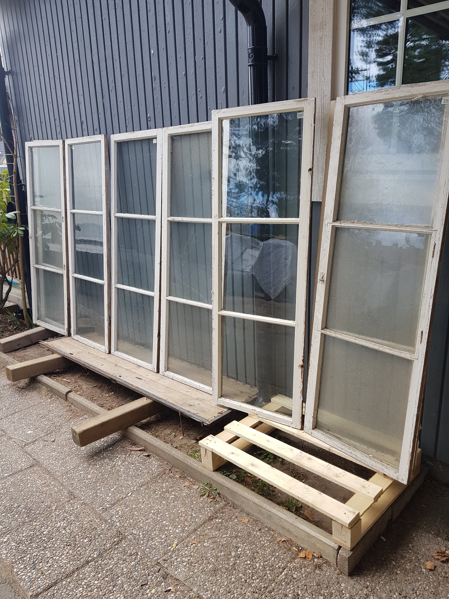 Art 01I 8st hela i glas B54 H150 D3 munblåsta äkta spröjs 1000KR st