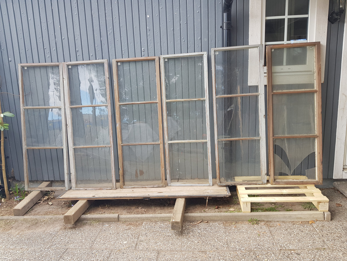 Art 01H 7st B53 H149 D3 munbåsta 4st hela 3st någon ruta sönder 1000 kr st