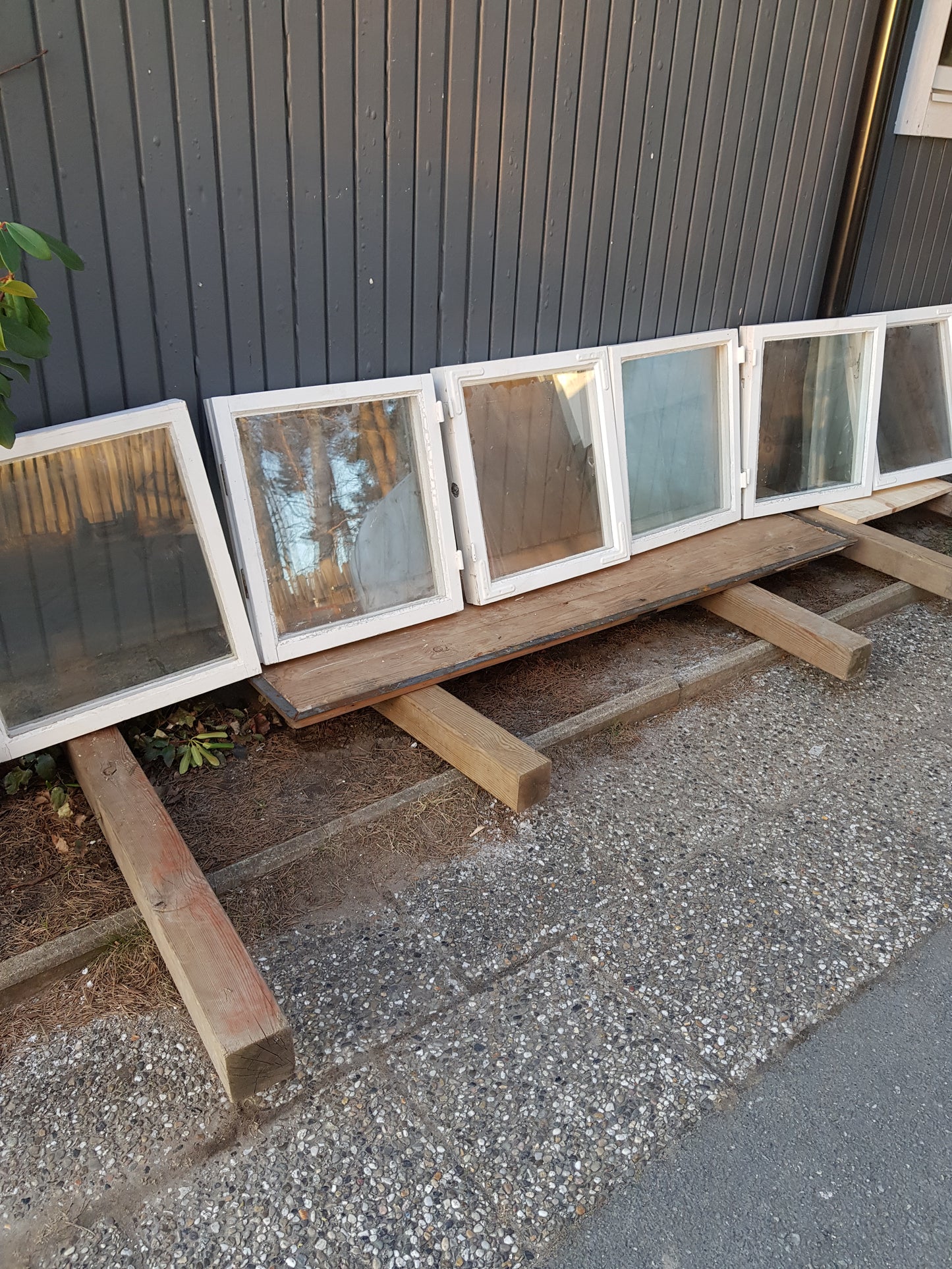 Art 851 6st gamla fönster MÅTT B53 H58 1500 kr st utan karm