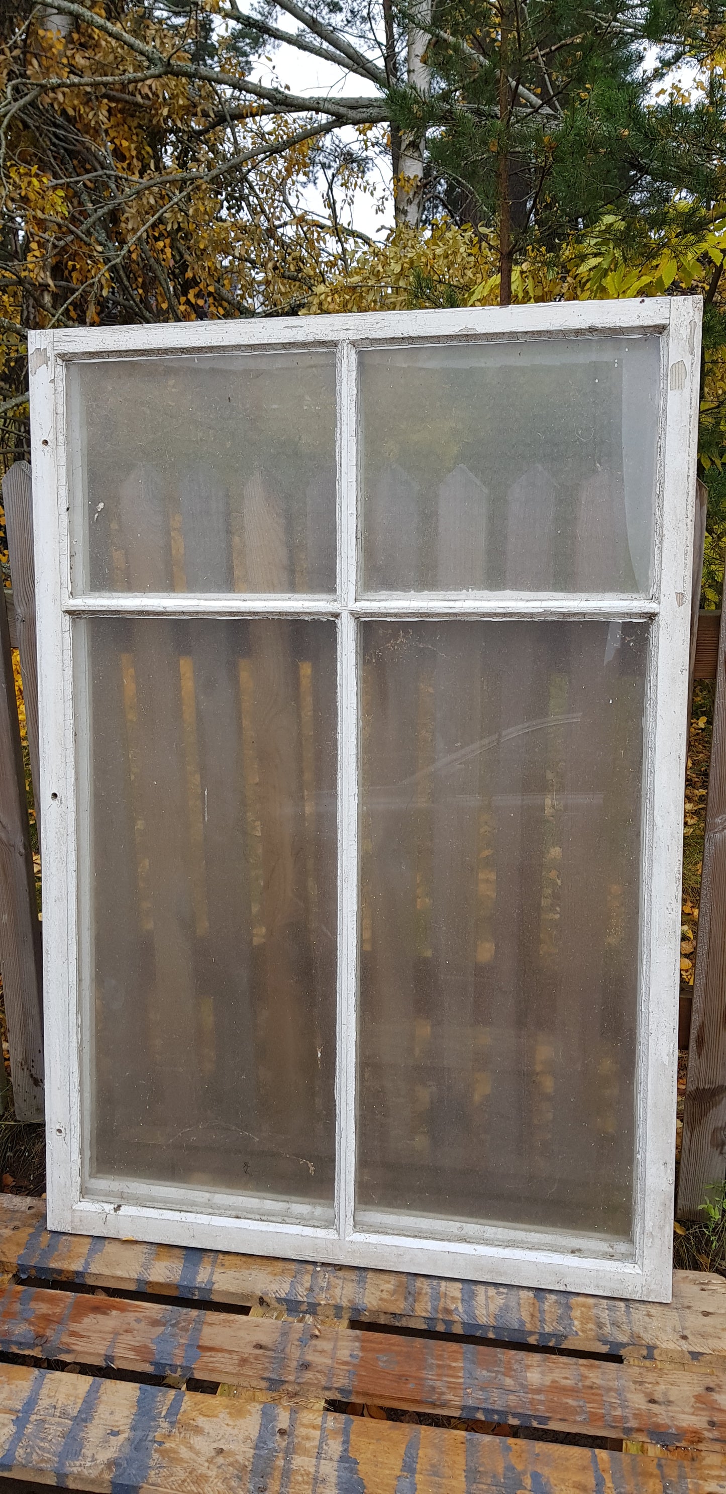 ARTIKELNUMMER 430   3 st Äldre spröjsade flagg fönster med äkta spröjs utan karm, Perfekt till växthus eller uterum.  Mått: Bredd 95 cm Höjd 138 cm tjocklek 3 cm Pris: 800 kr per st