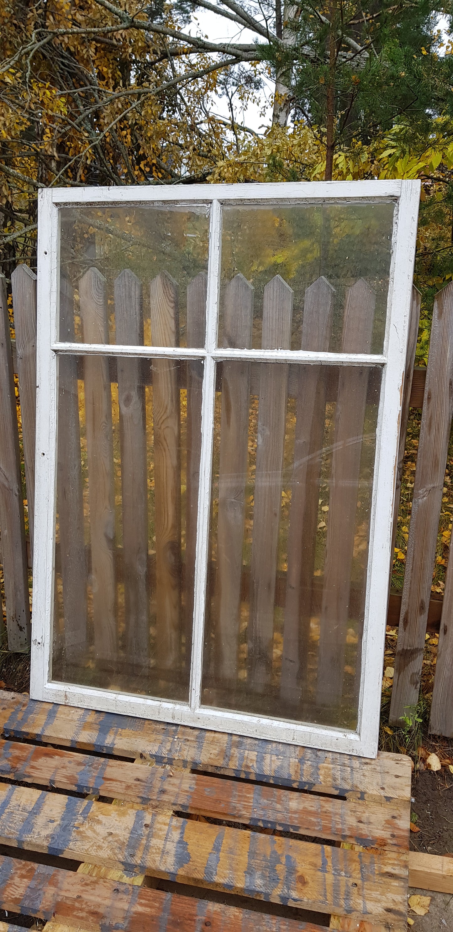 ARTIKELNUMMER 430   3 st Äldre spröjsade flagg fönster med äkta spröjs utan karm, Perfekt till växthus eller uterum.  Mått: Bredd 95 cm Höjd 138 cm tjocklek 3 cm Pris: 800 kr per st