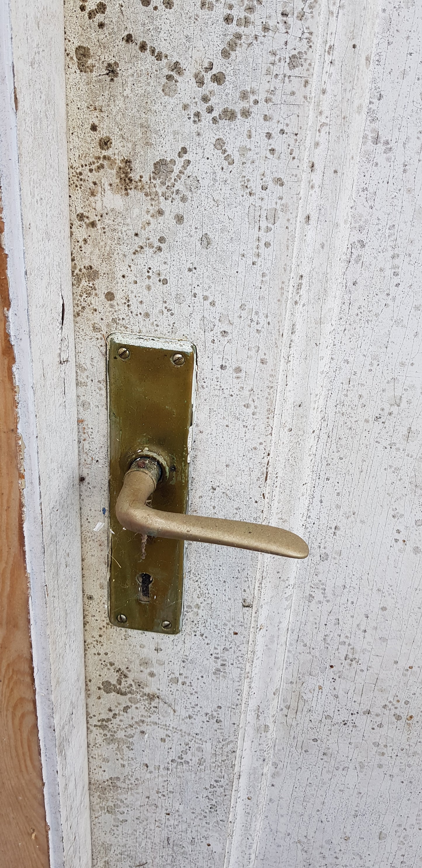 ARTIKELNUMMER 198  Vänsterhäng ytterdörr   Mått: B 98 H 219 D 10 pris 2500 kr
