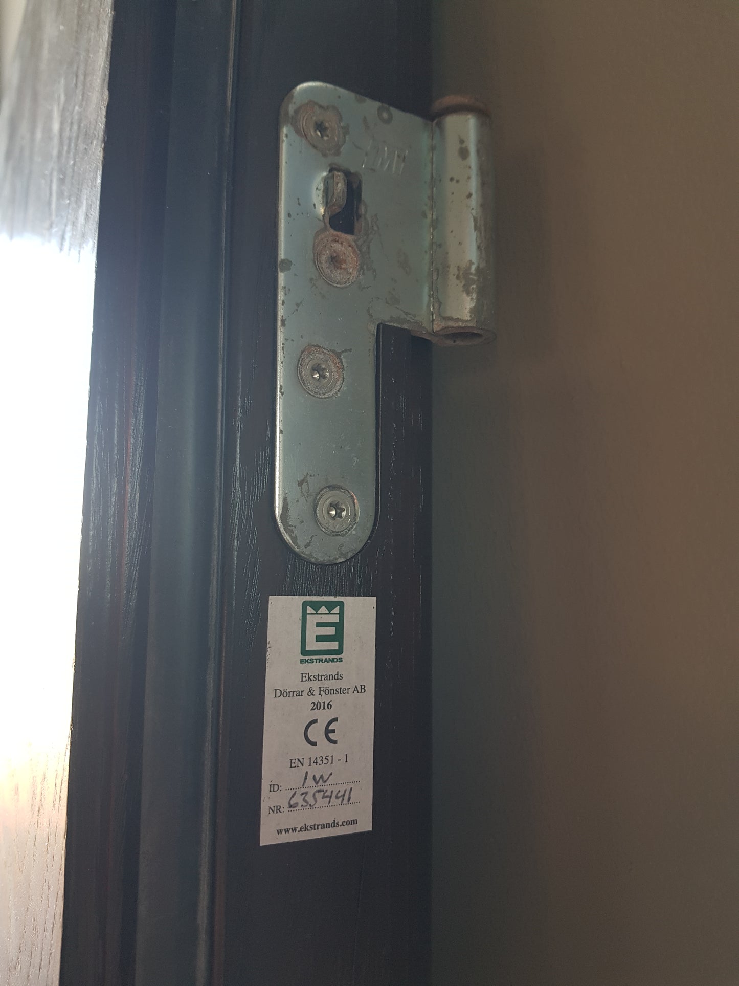 art 13 Ekstrand Dörr isolerad riktig tung dörr 9000 kr (BORLÄNGE)