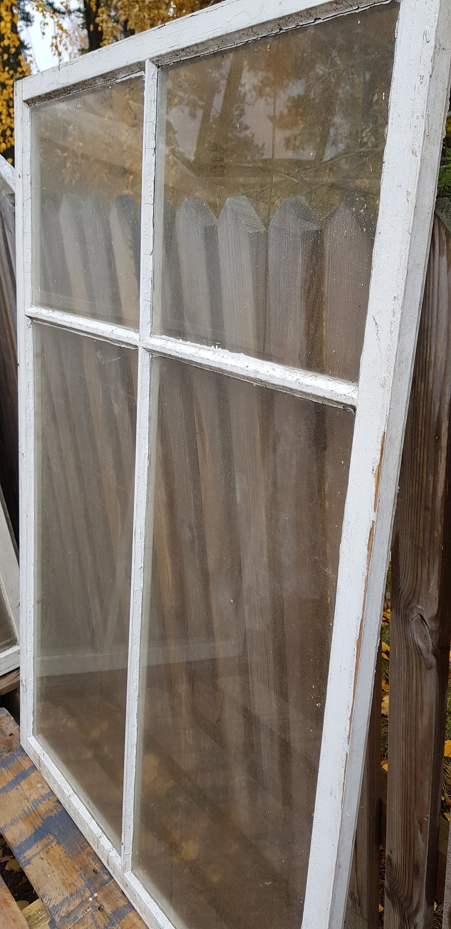 ARTIKELNUMMER 430   3 st Äldre spröjsade flagg fönster med äkta spröjs utan karm, Perfekt till växthus eller uterum.  Mått: Bredd 95 cm Höjd 138 cm tjocklek 3 cm Pris: 800 kr per st