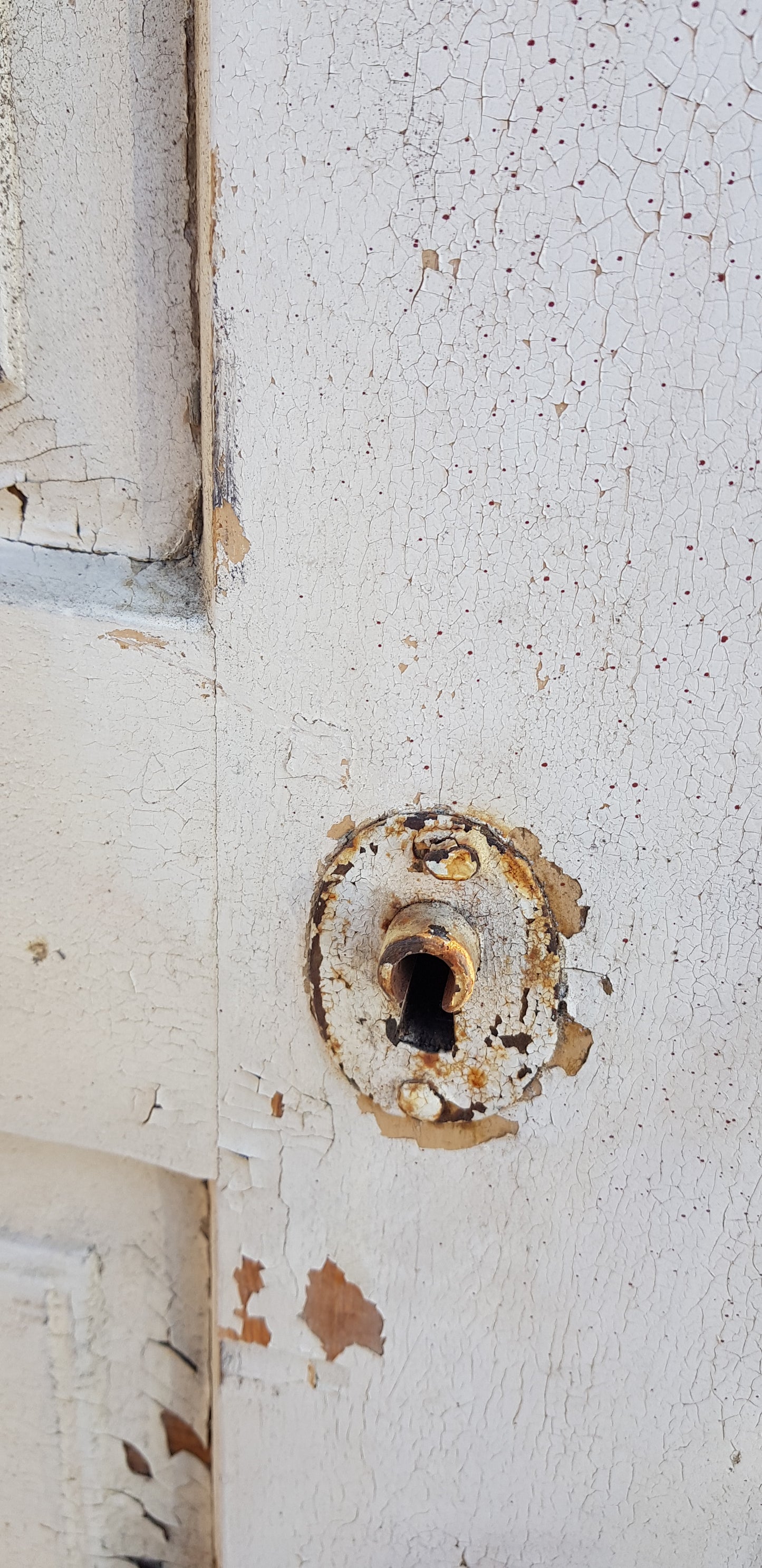 ARTIKELNUMMER 175 Antik Spegeldörr från 1700 talet med gammalt gångjärn säljes med karm som är nytillverkad.