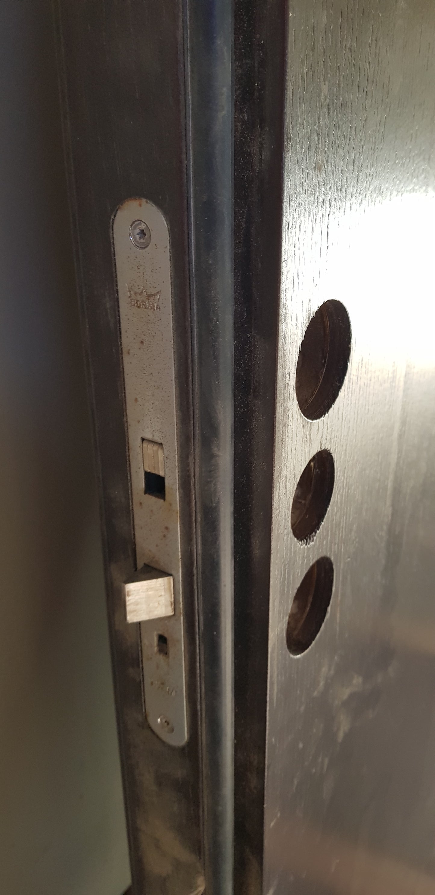 art 29 Ekstrand Dörr isolerad riktig tung dörr med gamla spikar 9000kr (BORLÄNGE)