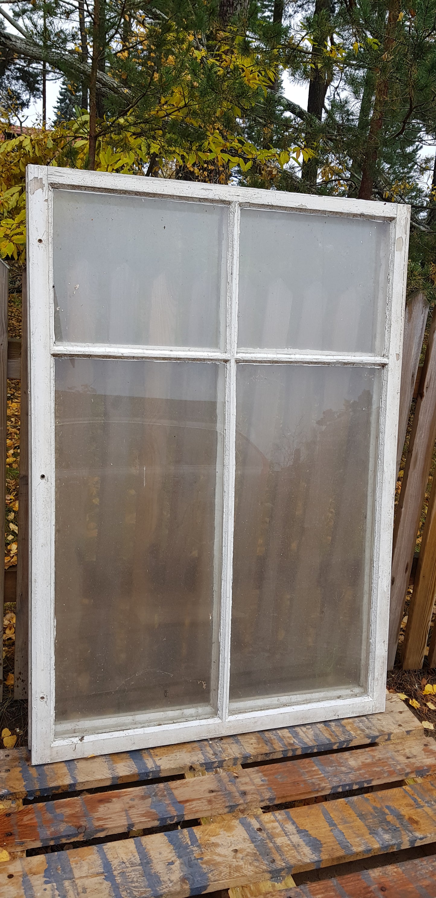 ARTIKELNUMMER 430   3 st Äldre spröjsade flagg fönster med äkta spröjs utan karm, Perfekt till växthus eller uterum.  Mått: Bredd 95 cm Höjd 138 cm tjocklek 3 cm Pris: 800 kr per st