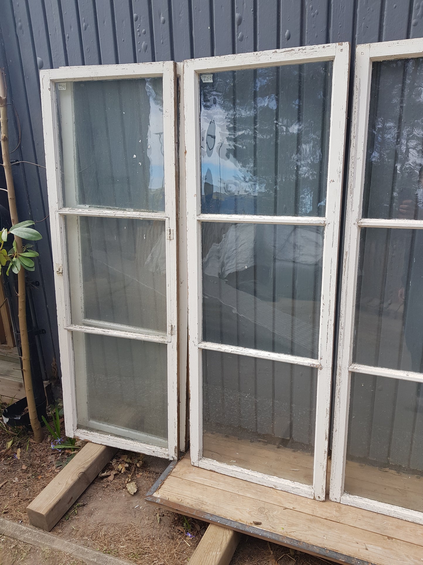 Art 01I 8st hela i glas B54 H150 D3 munblåsta äkta spröjs 1000KR st