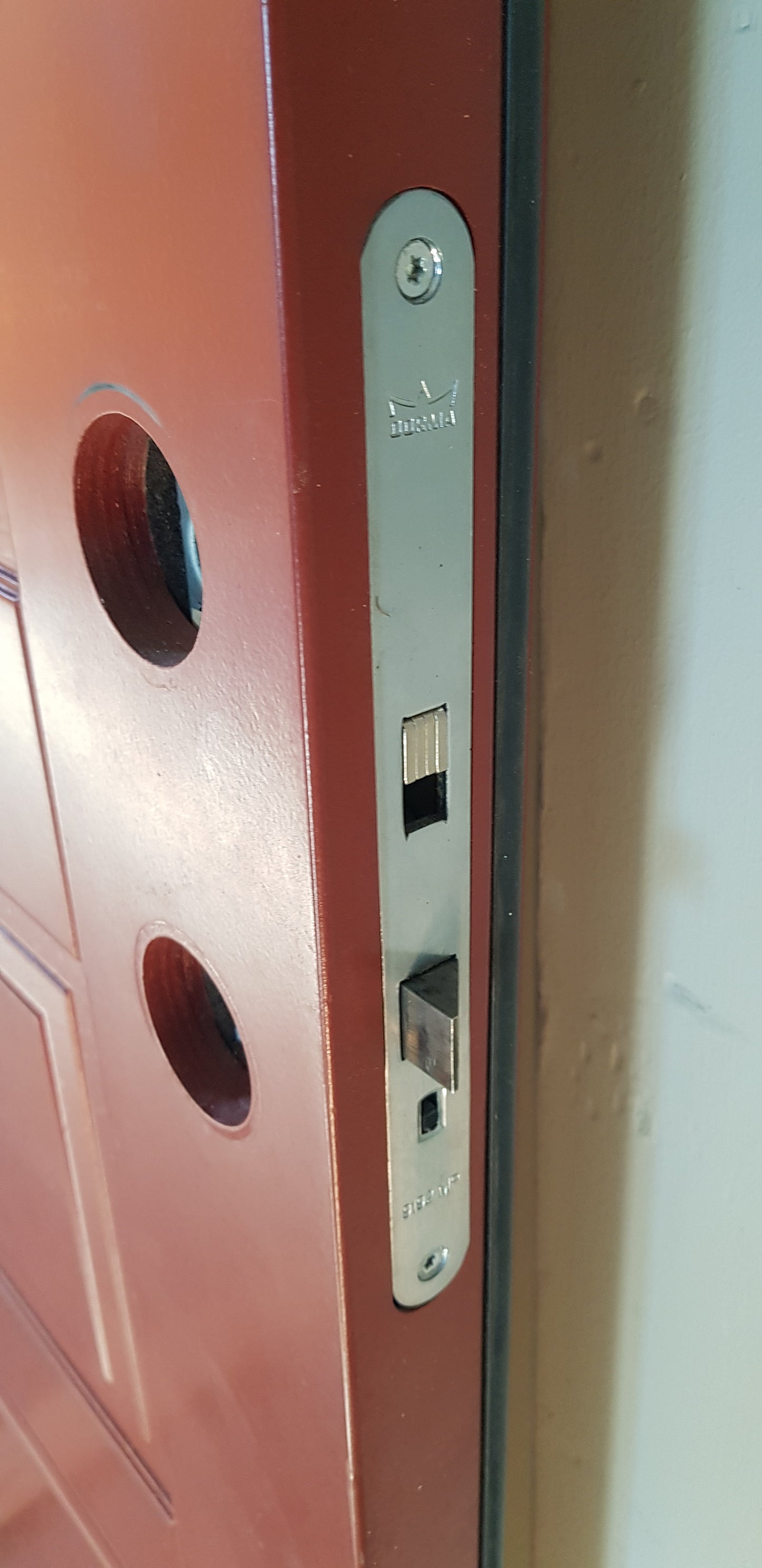 art 44 Ekstrand Dörr isolerad riktig tung dörr 9000kr (BORLÄNGE)