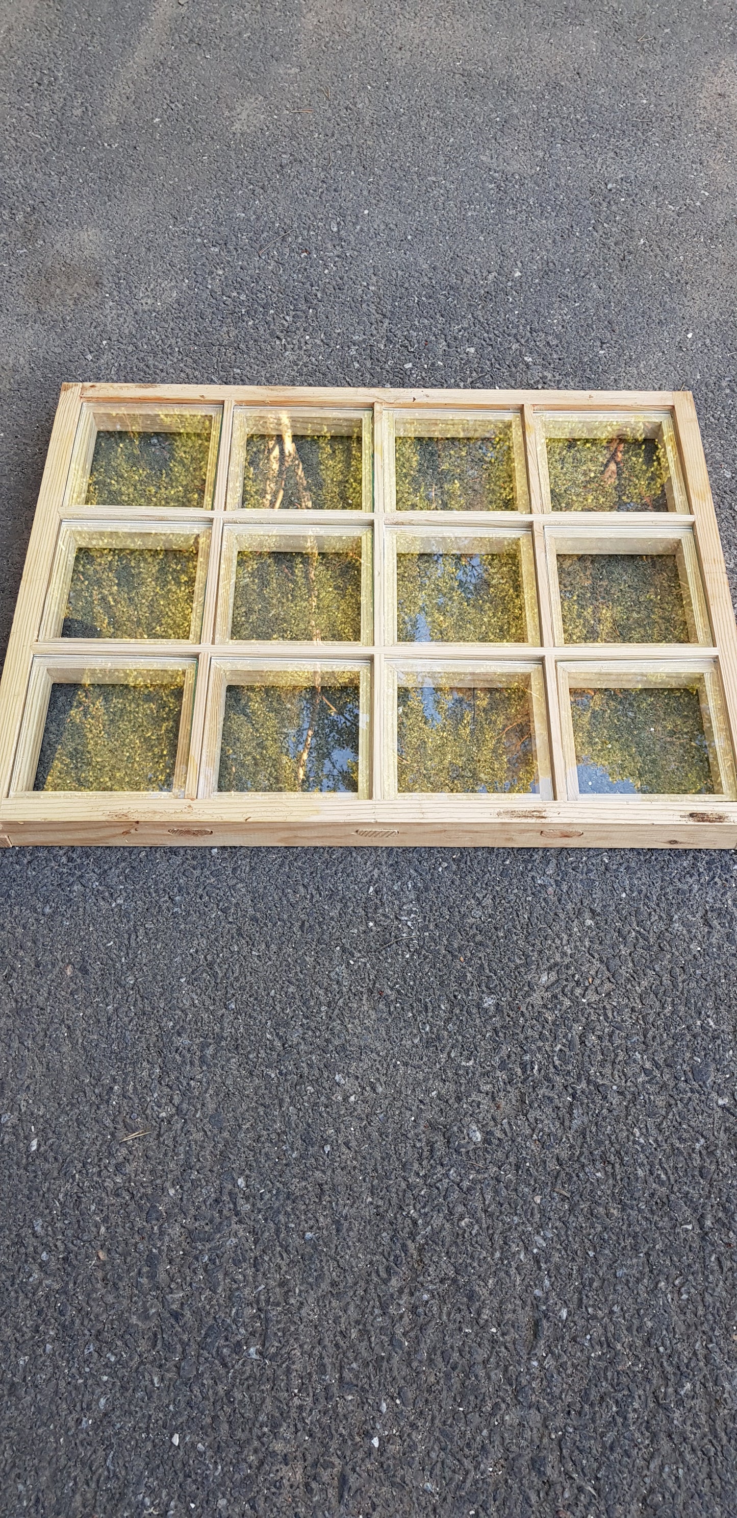 ARTIKELNUMMER 22 16st nya spröjsade fönster med färdiga glasrutor som kan passa till uterum, växthus eller överljus mått : Bredd 65 cm Höjd 51 cm Pris : 1250 kr per st vi leverera inom stockholm för 500 kr