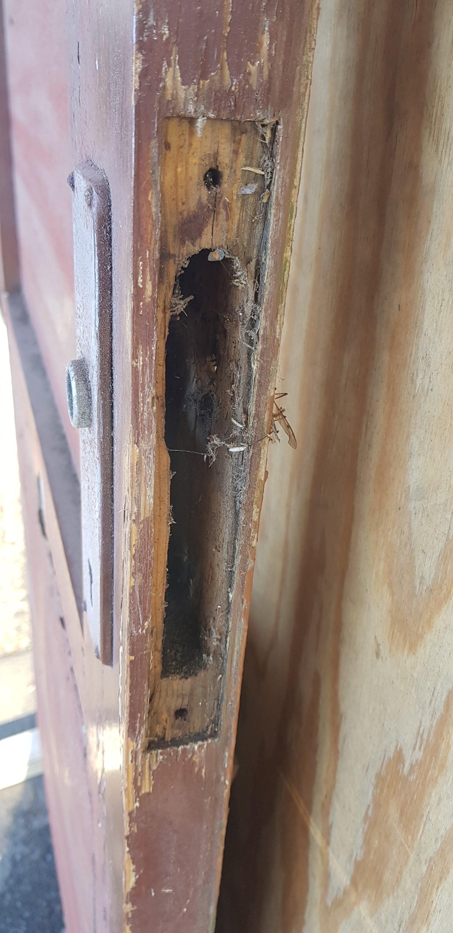 ARTIKELNUMMER 307 Fin gammal dörr / altandörr utan karm, höger hängd, passar perfekt till äldre hus växthus eller liknande. öppnas utåt 