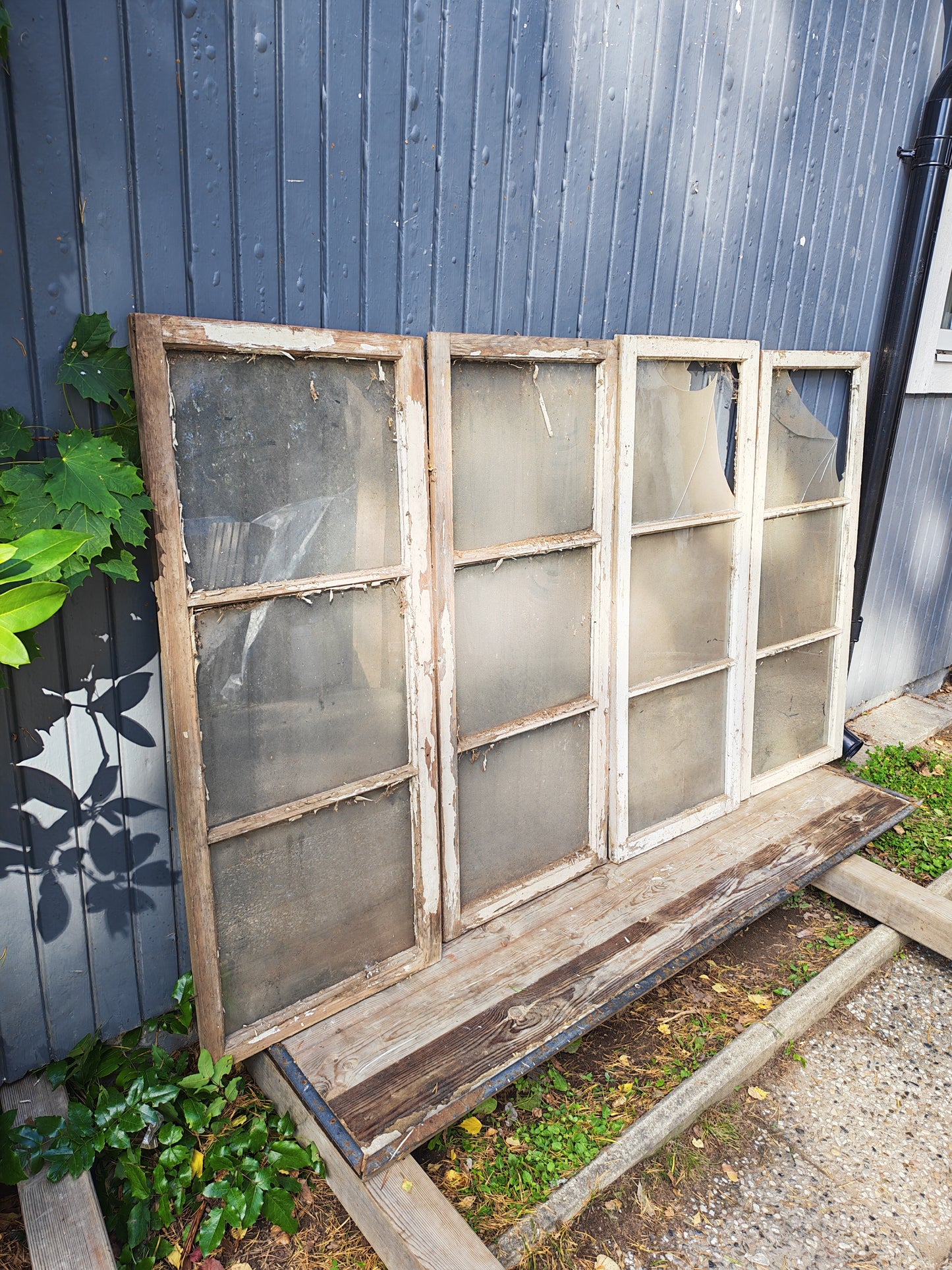 ART 04M  4ST  B50  H122  D2, 5  PRIS 700kr KR PER ST 2ST HEL GLAS 2ST TRASIGA GLAS