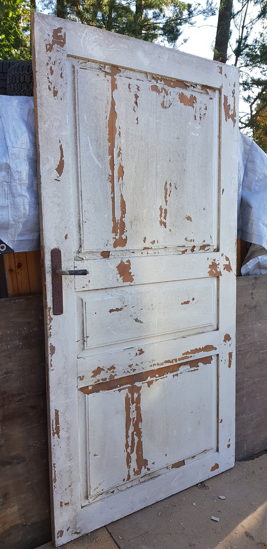 ARTIKELNUMMER 176 Antik Spegeldörr från 1700 talet med gammalt gångjärn säljes med karm som är nytillverkad.