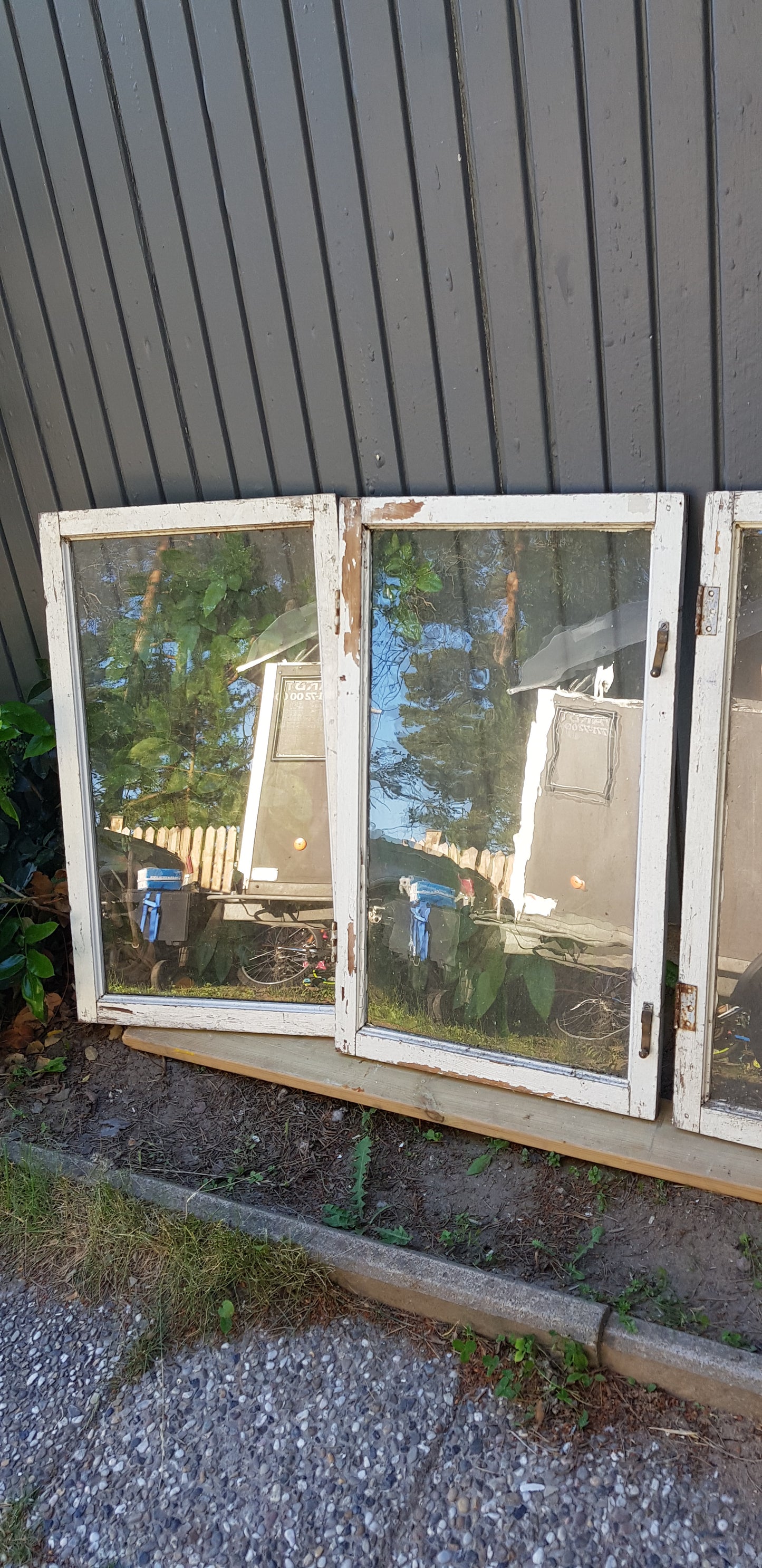 ARTIKELNUMMER 82 4st Fina gamla kärnvirke fönster, har munblåst glas. passar perfekt till växthus, innervägg, uterum eller liknande.&nbsp;  Mått:&nbsp; Bredd 51 cm&nbsp; &nbsp;Höjd 85 cm pris: 400 kr per&nbsp;st&nbsp;&nbsp;